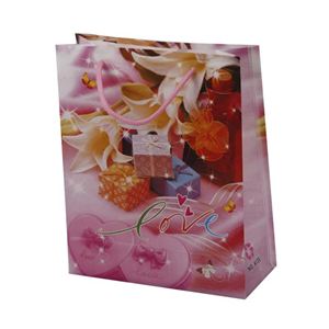 礼品袋