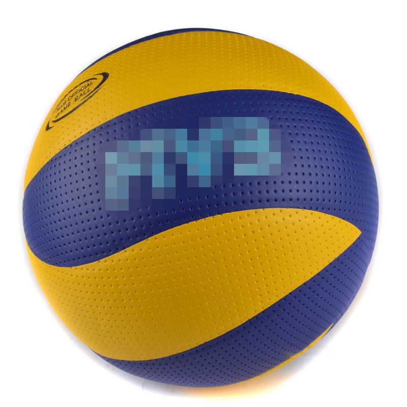 picture of high quality vollyball